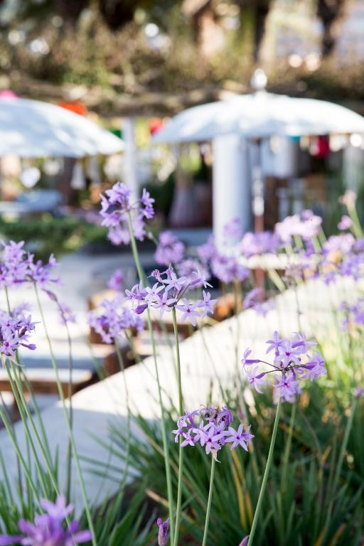 Ibizazen Hotel Santa Eularia des Riu Luaran gambar